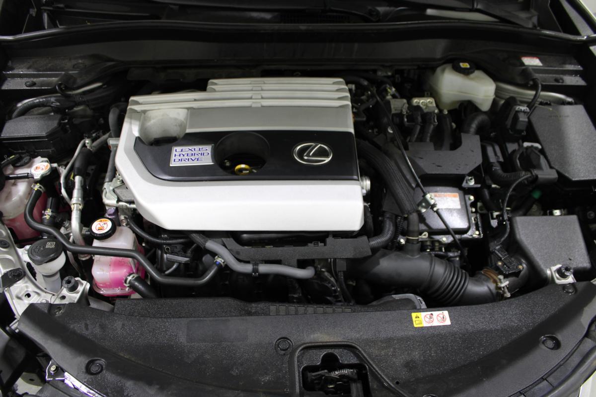auto