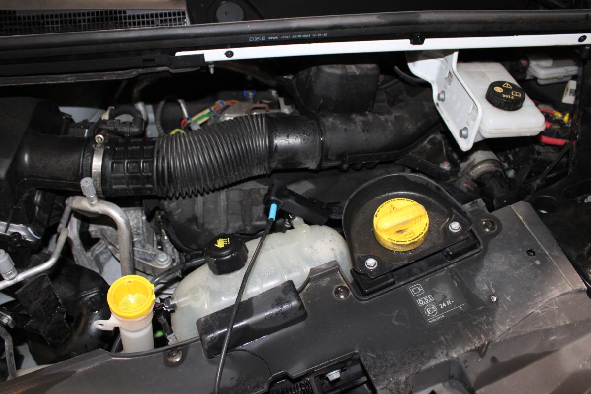 auto